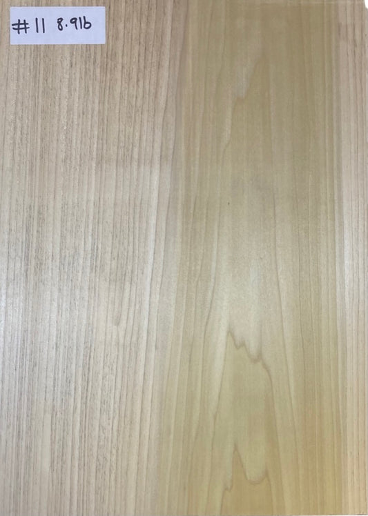 Tulip/Poplar Body Blank - 1 Piece #11