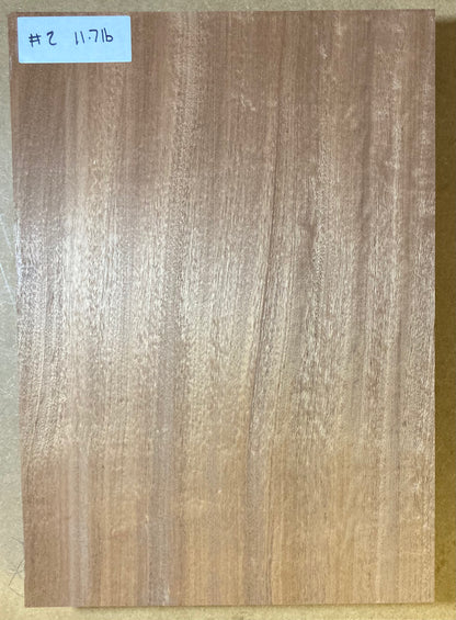 Sapele Body Blank - 1 Piece #2