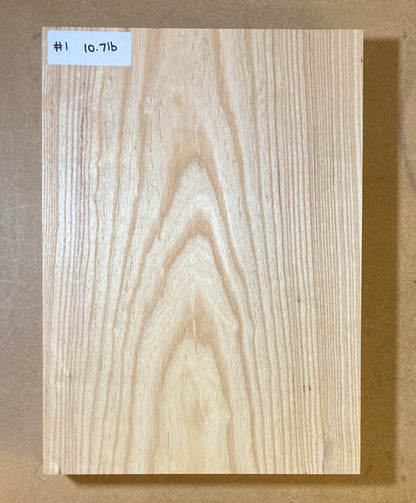 Ash Body Blank - 1 Piece #1