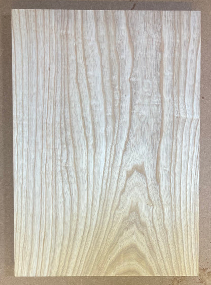 Ash Body Blank - 1 Piece - #42