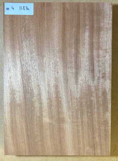 Sapele Body Blank - 1 Piece #4