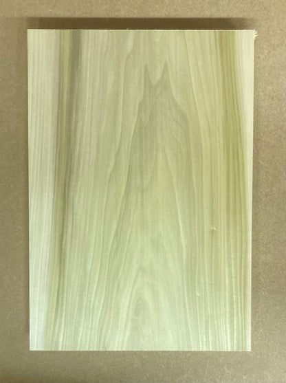 Tulip/Poplar Body Blank - 1 Piece #12