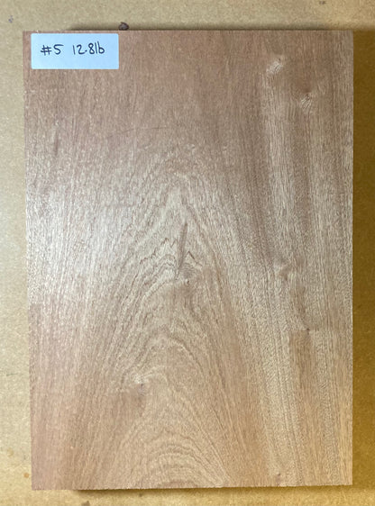 Sapele Body Blank - 1 Piece #5