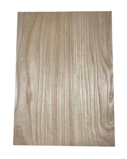 Ash Bass Body Blank - 2 Piece #2