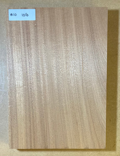 Sapele Body Blank - 1 Piece #10