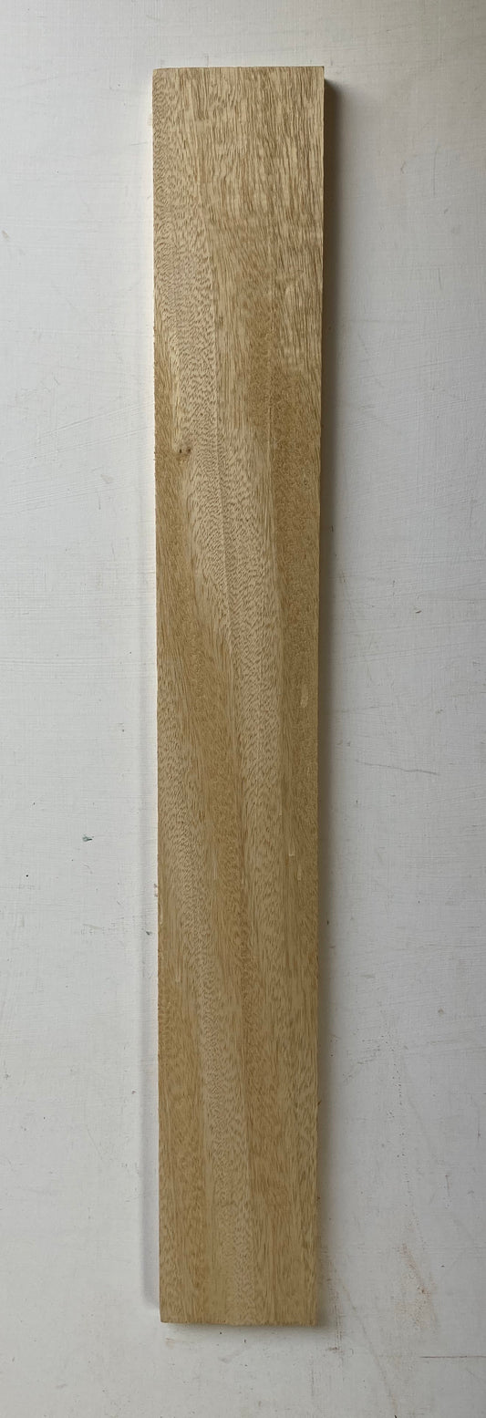 Electric Fretboard Blank - Idigbo #1
