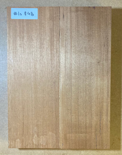 Honduran Mahogany Body Blank - 2 Piece #1