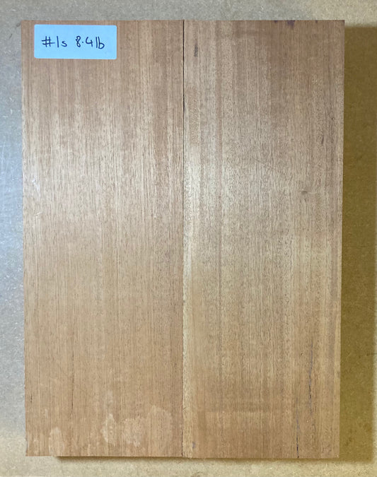 Honduran Mahogany Body Blank - 2 Piece #1