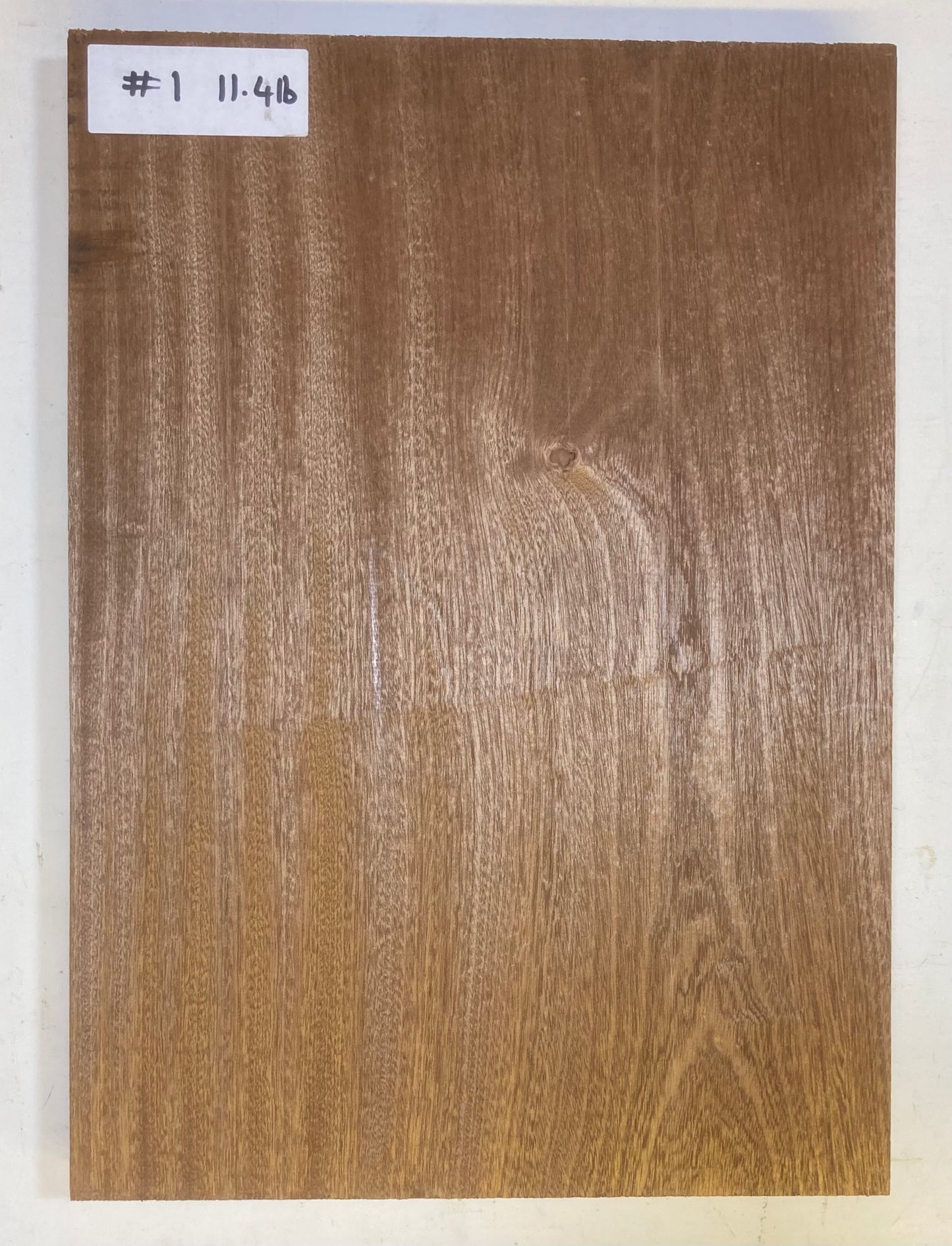 Sapele Body Blank - 1 Piece #1