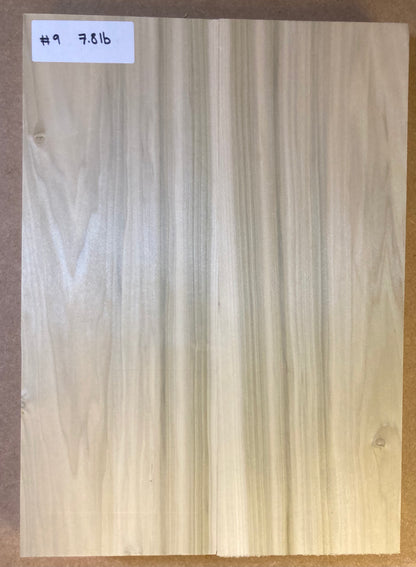 Tulip/Poplar Body Blank - 2 Piece #9