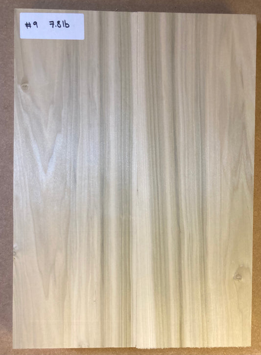 Tulip/Poplar Body Blank - 2 Piece #9