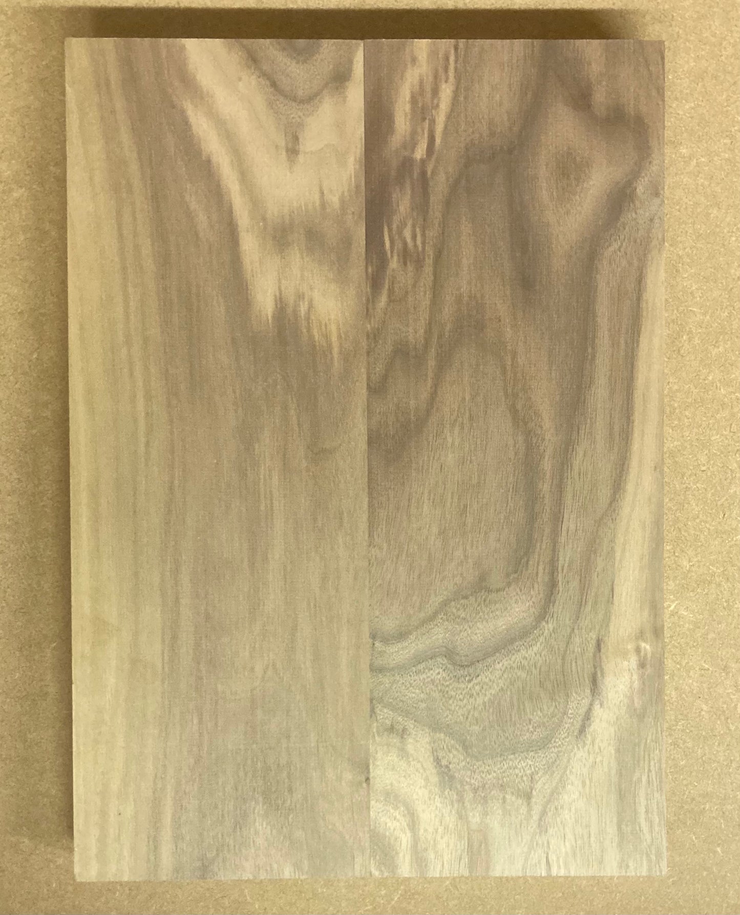 Walnut Body Blank - 2 Piece #2