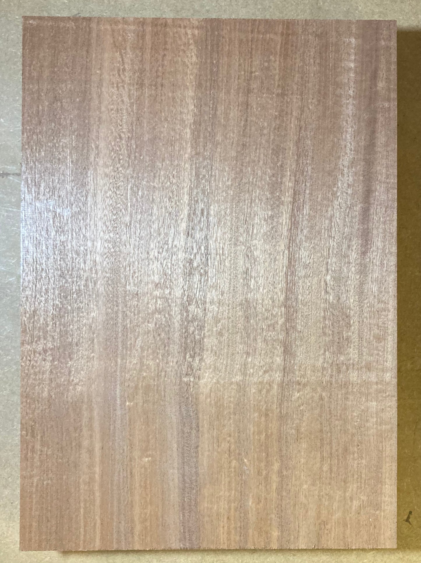 Sapele Body Blank - 1 Piece #2