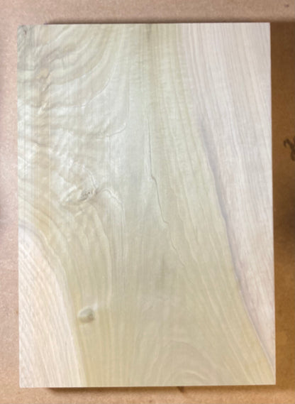 Tulip/Poplar Body Blank - 1 Piece #2