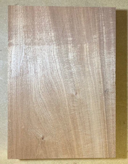 Sapele Body Blank - 1 Piece #1