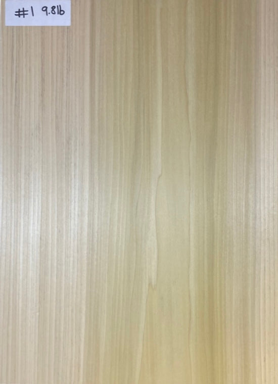Tulip/Poplar Bass Body Blank - 1 Piece #1