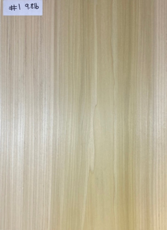 Tulip/Poplar Bass Body Blank - 1 Piece #1