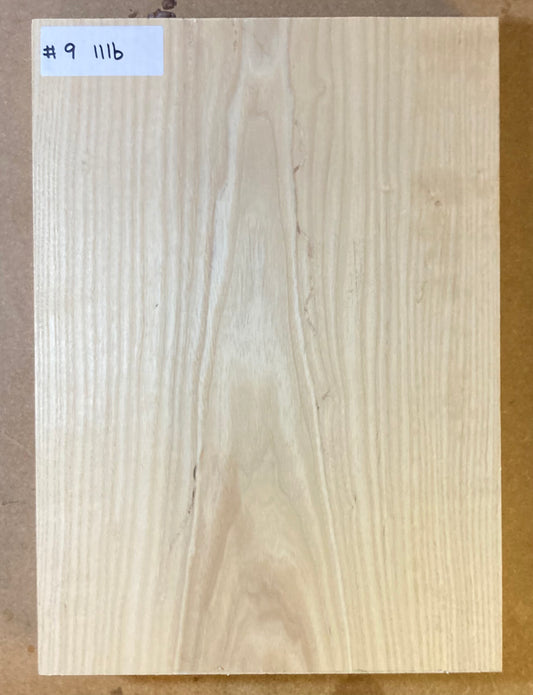 Ash Body Blank - 1 Piece #9