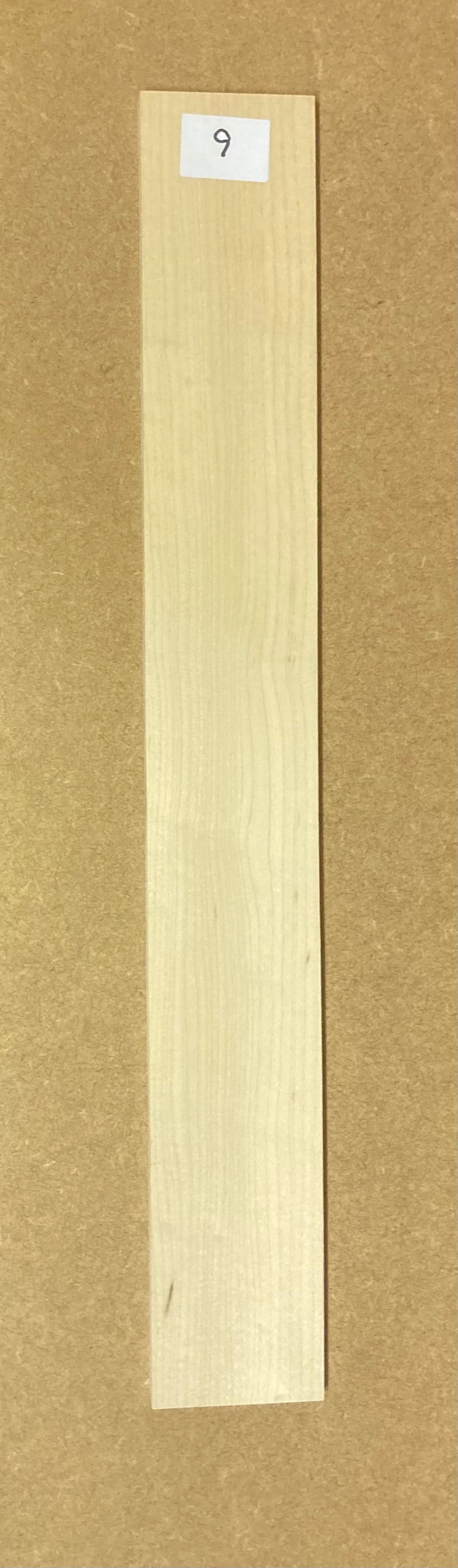 Electric Fretboard Blank - Maple #9