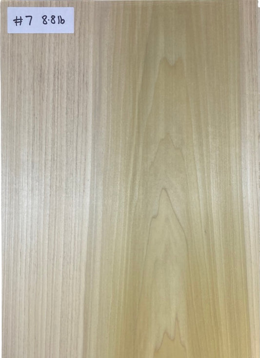 Tulip/Poplar Body Blank - 1 Piece #7