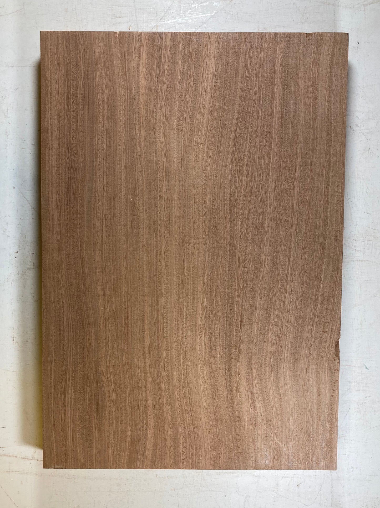 Sapele Bass Body Blank - 1 Piece #1