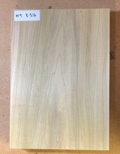 Tulip/Poplar Body Blank - 1 Piece #9