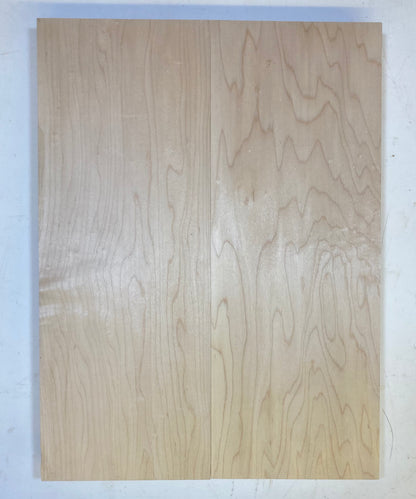 Maple Body Blank - 2 Piece #2