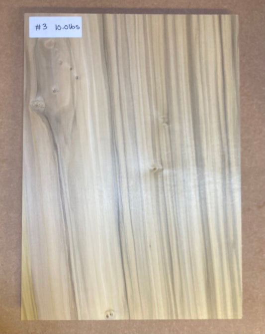 Tulip/Poplar Bass Body Blank - 1 Piece - #3