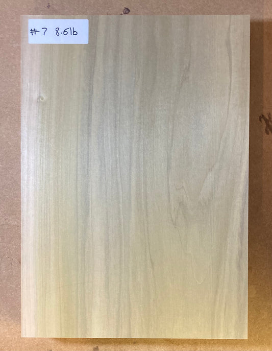 Tulip/Poplar Body Blank - 1 Piece #7