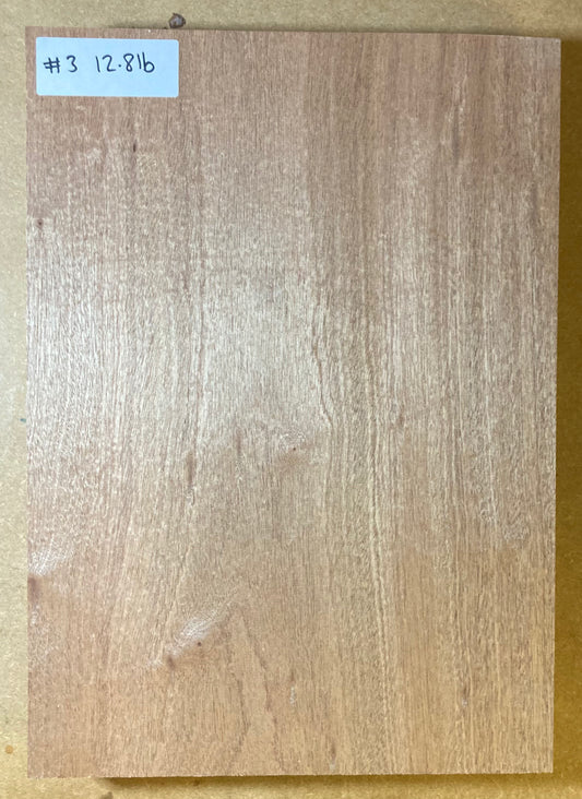 Sapele Body Blank - 1 Piece #3