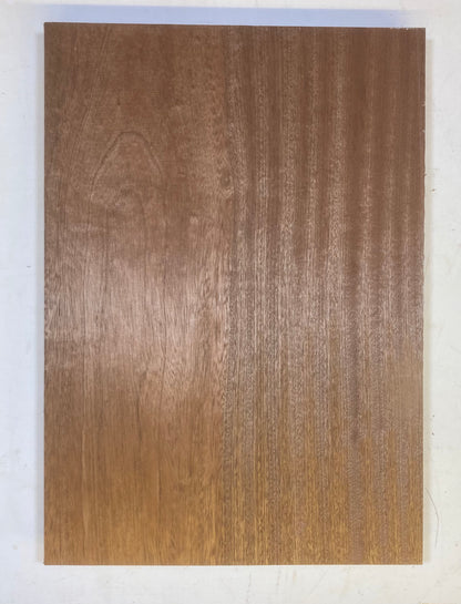 Sapele Body Blank - 1 Piece #4