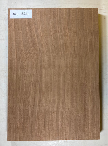 Sapele Bass Body Blank - 1 Piece #3