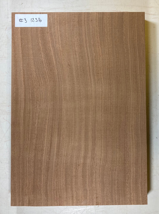 Sapele Bass Body Blank - 1 Piece #3