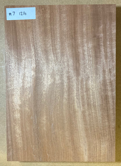 Sapele Body Blank - 1 Piece #7
