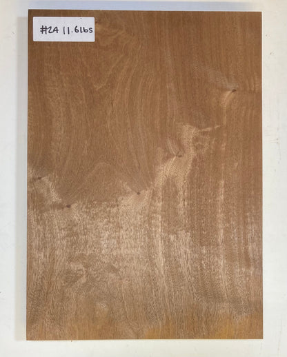 Sapele Body Blank - 1 Piece #24