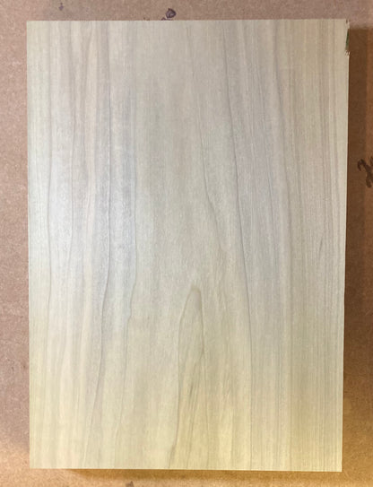 Tulip/Poplar Body Blank - 1 Piece #10