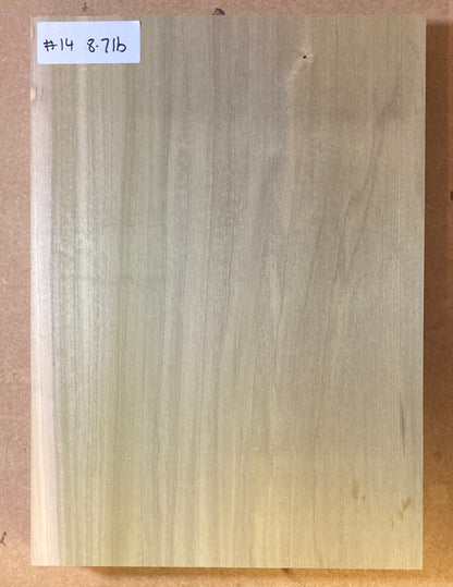Tulip/Poplar Body Blank - 1 Piece #14