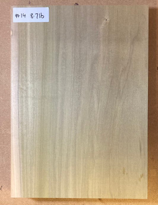 Tulip/Poplar Body Blank - 1 Piece #14
