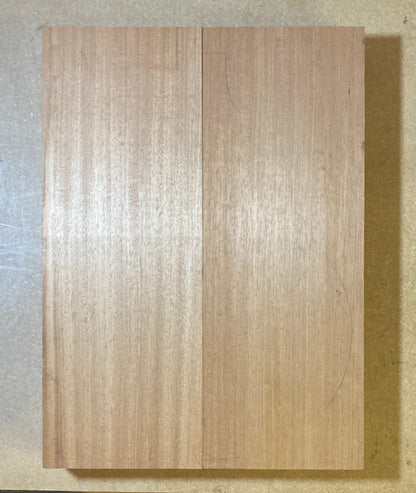 Honduran Mahogany Body Blank - 2 Piece #1