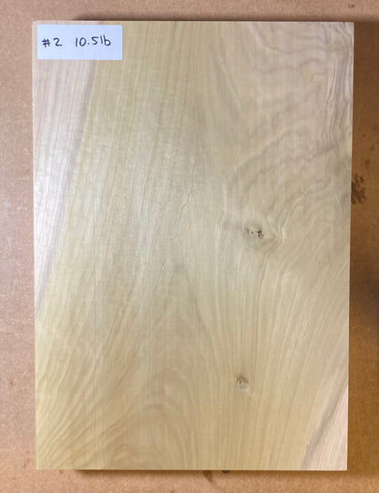 Tulip/Poplar Body Blank - 1 Piece #2