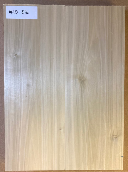 Tulip/Poplar Body Blank - 2 Piece #10