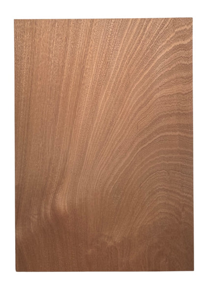 Sapele Body Blank - 1 Piece #2