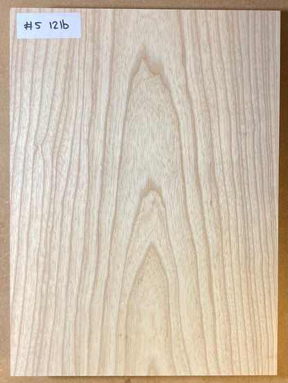 Ash Bass Body Blank - 1 Piece #5