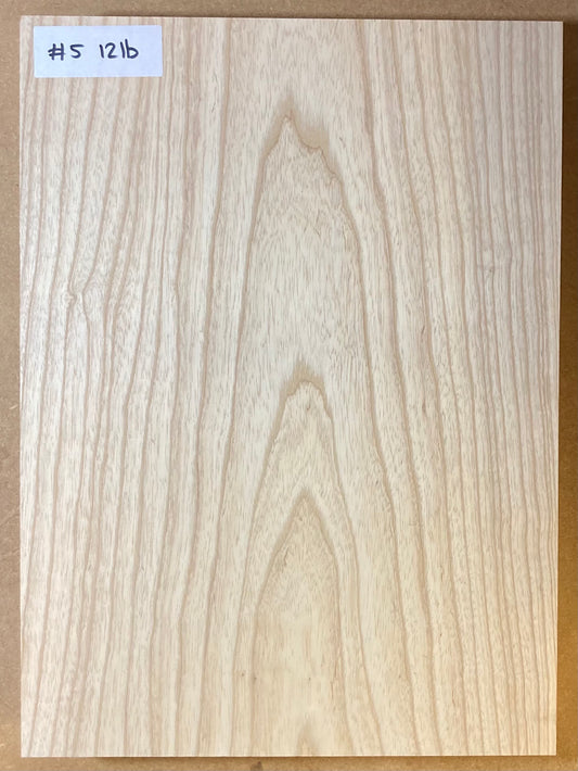 Ash Bass Body Blank - 1 Piece #5