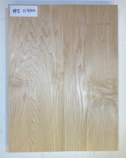 Maple Body Blank - 2 Piece #2