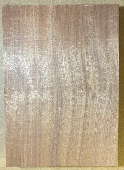 Sapele Body Blank - 1 Piece #6