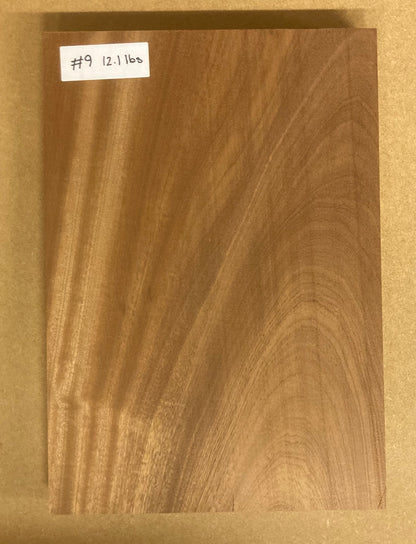 Sapele Body Blank - 1 Piece #9