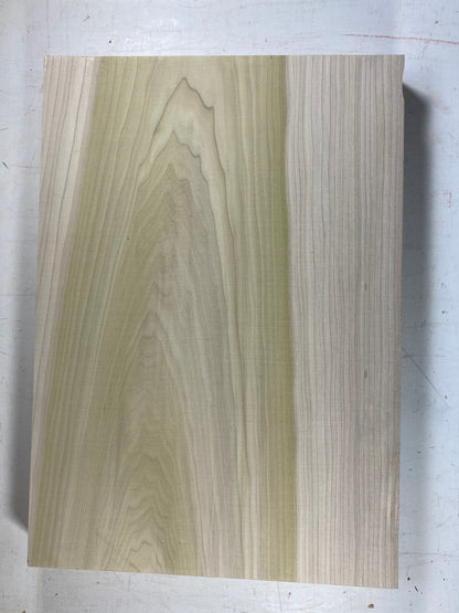 Tulip/Poplar Body Blank - 1 Piece #21