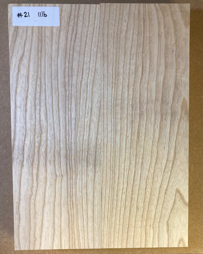 Ash Body Blank - 2 Piece #21