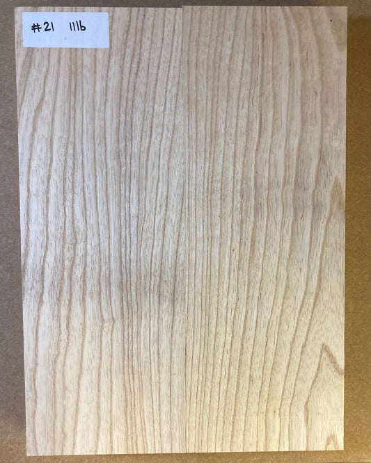 Ash Body Blank - 2 Piece #21